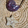 Cream Starfish Ceramic Necklace - thechristyfcollection