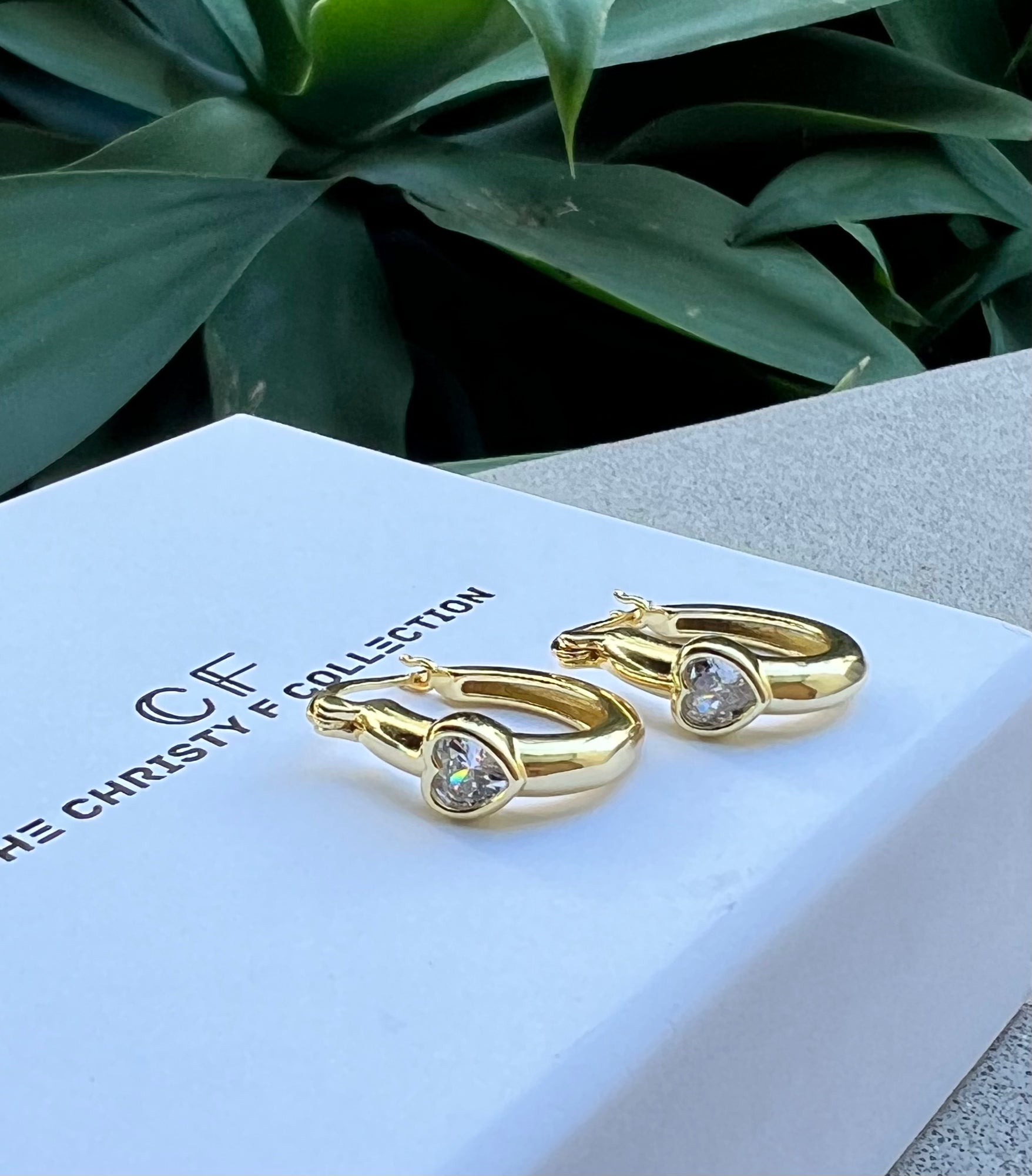 Gold hoop earrings with clear stones on a branded box with green leaves in the background