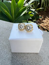 Gold earrings on a white box with green plants in the background