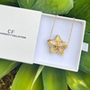 Gold starfish necklace in a Christy F Collection box with green leaves in the background
