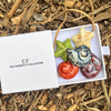 Colorful star-shaped ceramic charms in a box with 'CF The Christy F Collection' label on a natural background.