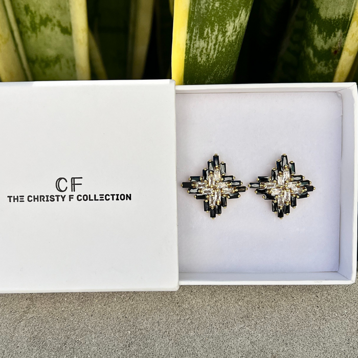 Pair of earrings in a white box with 'The Christy F Collection' branding, against a plant background.