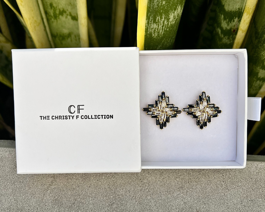 Pair of earrings in a white box with 'The Christy F Collection' branding, against a plant background.